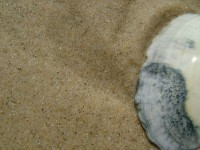 /album/nesian-photography1/nesian-picture-22-copy-jpg/